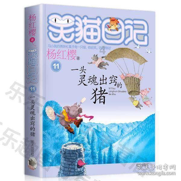 蓝狐视频
