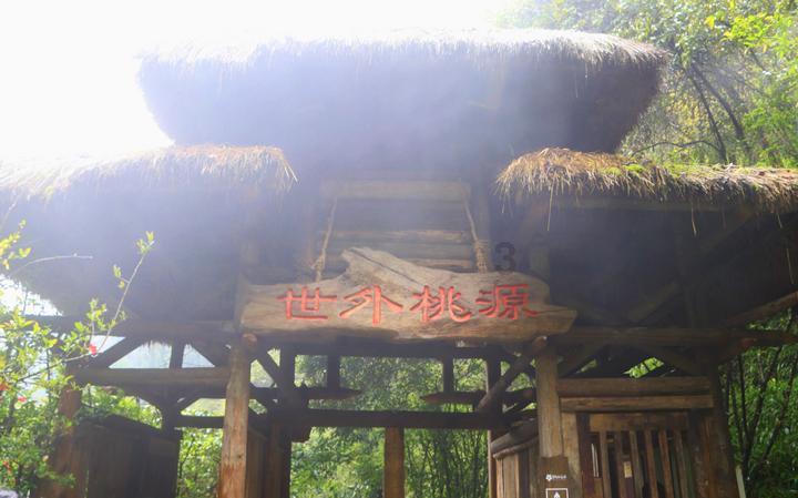 88影视